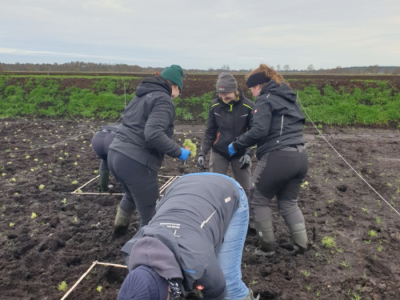 Torfmoospflanzung: Unterstützung durch die Landwirtschaftsschule